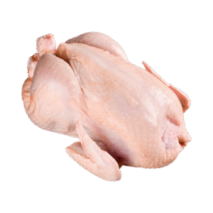 Single Large Chicken