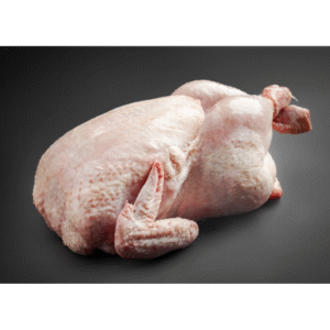 Single Large Chicken