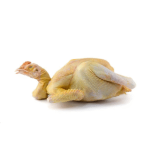 Hard Chicken/Hen/Murgi